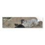 Blackfooted Ferret Bumper Sticker