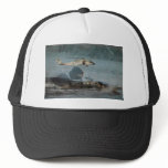 BLACKHAWK hats