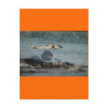 BLACKHAWK postcards