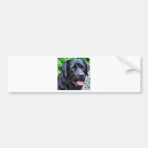 blackLabRizoFull.jpg Bumper Stickers