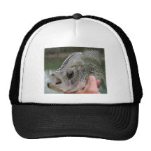 blacknose crappie mesh hats