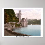 Blackrock Castle, Cork, Ireland posters