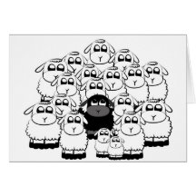 blacksheep cards