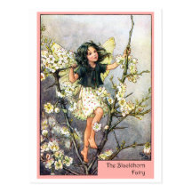 Blackthorn Fairy Postcard
