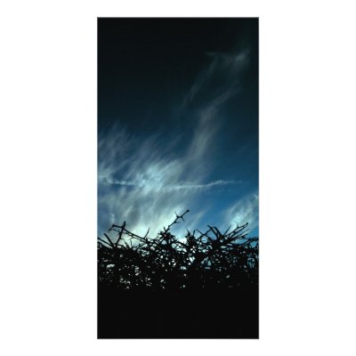 Blackthorn Custom Photo Card by xanderashwell