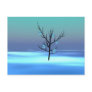 Blacktree Post Cards