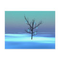 Blacktree postcards
