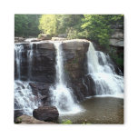 Blackwater Falls Magnet