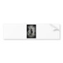 BlackWidowR091810 Bumper Sticker