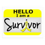 Bladder Cancer Survivor 24.png Post Cards