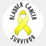 Bladder Cancer Survivor Round Sticker