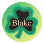 Blake Family Round Stickers
