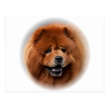 Blake Head Postcards