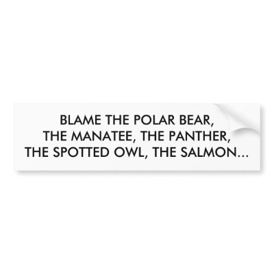 BLAME THE POLAR BEAR, THE MANATEE, THE PANTHER,... BUMPER STICKER by forglades