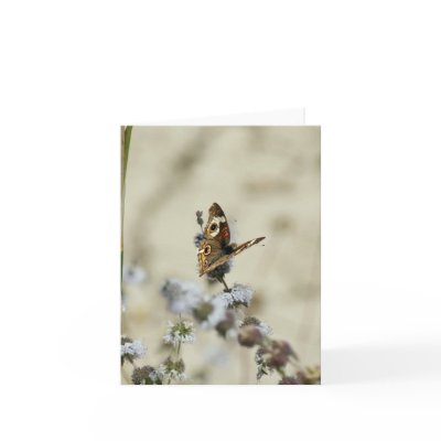 Blank Card, Butterfly by michaelsnydermusic
