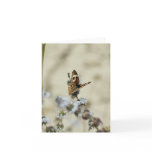 Blank Card, Butterfly