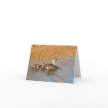 Blank Card, Ducklings