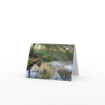 Blank Card, Ducks
