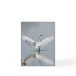 Blank Card, Egret