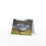 Blank Card, Landscape