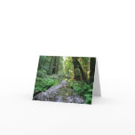 Blank Card, Muir Woods