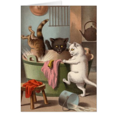 Blank card - Naughty Cat series - Cats Washday by lodgehouse