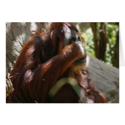 Blank Card, Oran-Utan by michaelsnydermusic