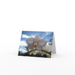 Blank Card, Orchid Flower