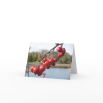 Blank Card - Red Berries
