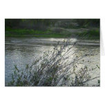 Blank Card: Salinas River in Paso Robles, 2010