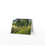 Blank Card, Scenic