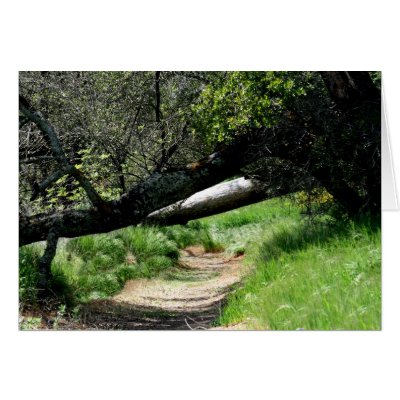 Blank Card, Spring Footpath by michaelsnydermusic