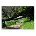 Blank Card, Spring Footpath