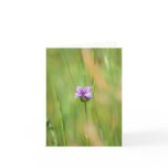 Blank Card, Wildflower