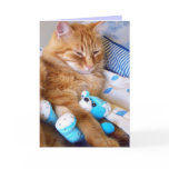 Blank Cat Cards