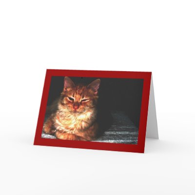 Blank Cat Greeting card... by sumiko