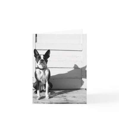 blank dog notecard by doggypups