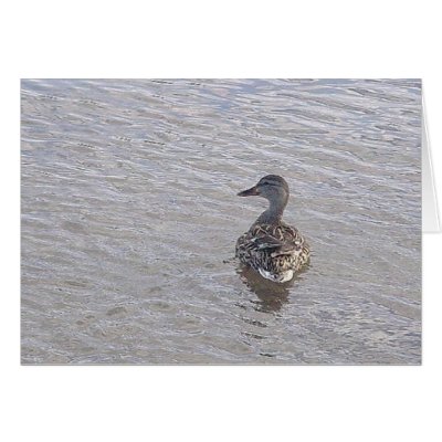 blank duck card by sumiko