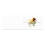 Blank Duck In the Water Skinny Profile Card business cards