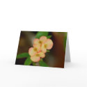 Blank Floral Card