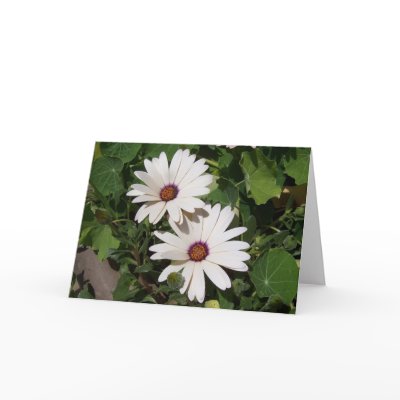 Blank Floral Card by anitahavel