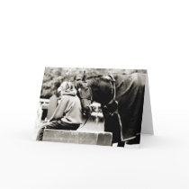 Blank Horse Greeting Card