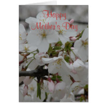 Blank Inside Happy Mother's Day Card