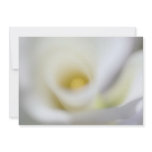 Blank Invitation ~ White Calla Lily (Christening,