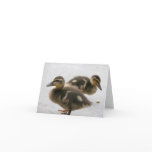 Blank Note Card, Ducklings