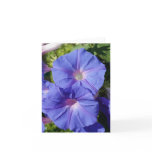 Blank Note Card, Morning Glory