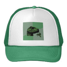 Blank Philosoraptor Mesh Hats