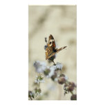 Blank Photo Card, Butterfly photo cards