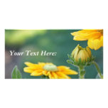 Blank Photo Card, Rudbeckia