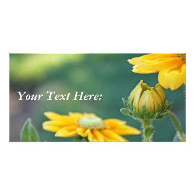Blank Photo Card, Rudbeckia by michaelsnydermusic
